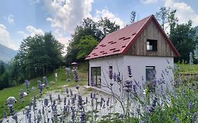 Holiday Home Dreams